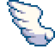 Wing